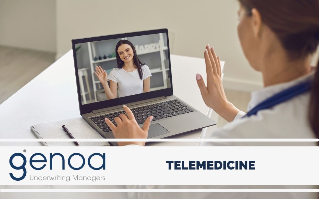 The Ins and outs of Telemedicine (now known as “Telehealth”)