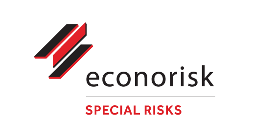 This is an image representing Econorisk Non-specialist Proposal Form